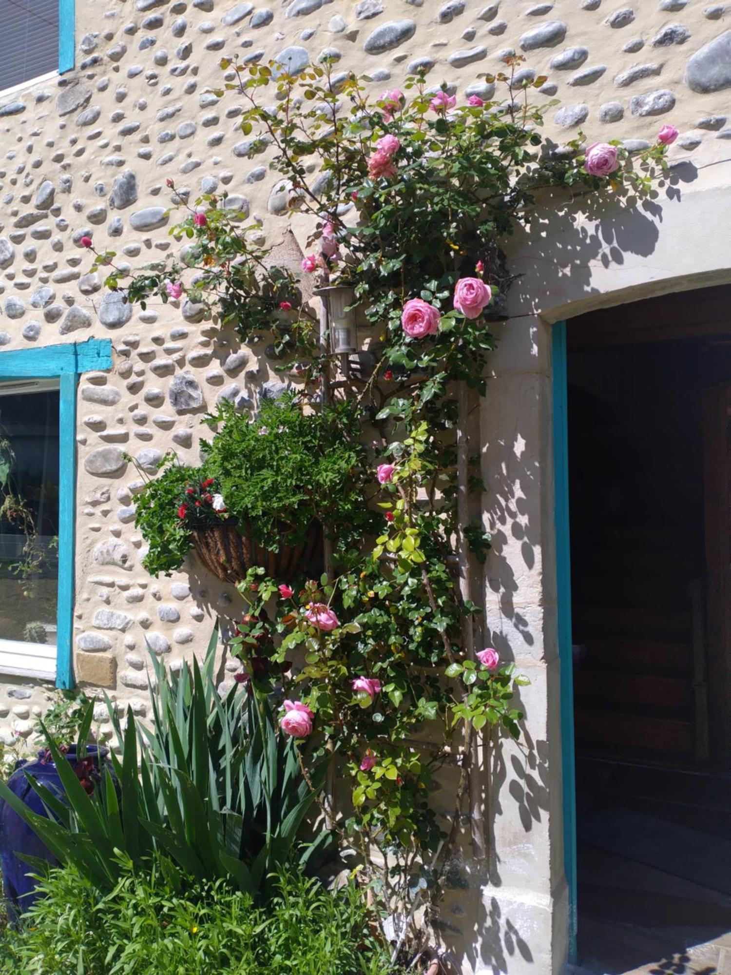 Maison Mignaquy Charritte-de-Bas Exteriér fotografie